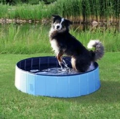 Trixie Piscine Pour Chiens 80 × 20 Cm