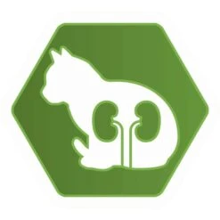 Purina Proplan Optirenal Chat Adult Sterilised Dinde 3 Kg -Animal Fournitures Boutique purina proplan optirenal adult cat sterilised dinde 3 kg3