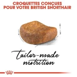 Royal Canin British Shorthair Adult 2 Kg -Animal Fournitures Boutique royal canin british shorthair adult 2 kg 3