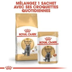Royal Canin British Shorthair Adult 2 Kg -Animal Fournitures Boutique royal canin british shorthair adult 2 kg 5