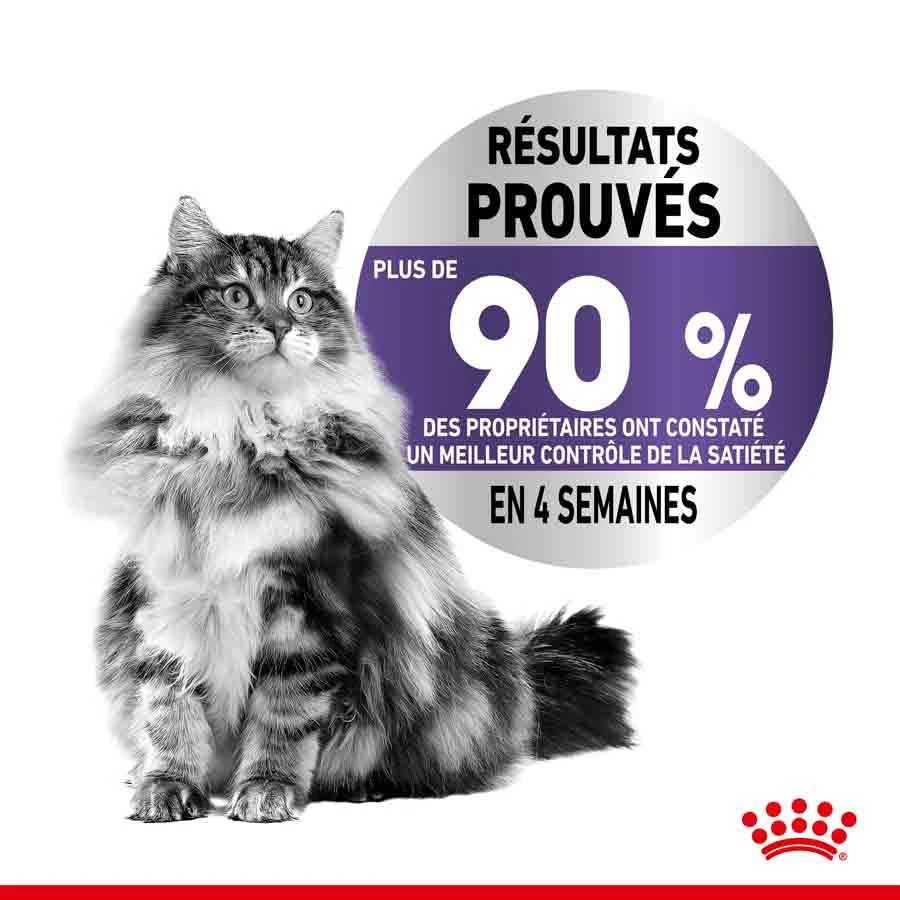 Royal Canin Féline Care Nutrition Appetite Control Sauce 12 X 85 G 2 Royal Canin Féline Care Nutrition Appetite Control Sauce 12 X 85 G – Image 2