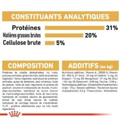 Royal Canin Maine Coon Adult 4 Kg -Animal Fournitures Boutique royal canin maine coon adult 8 1