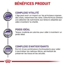Royal Canin Veterinary Chat Mature Consult Balance 12 X 85 G -Animal Fournitures Boutique royal canin veterinary chat mature consult balance 12 x 85 g 3