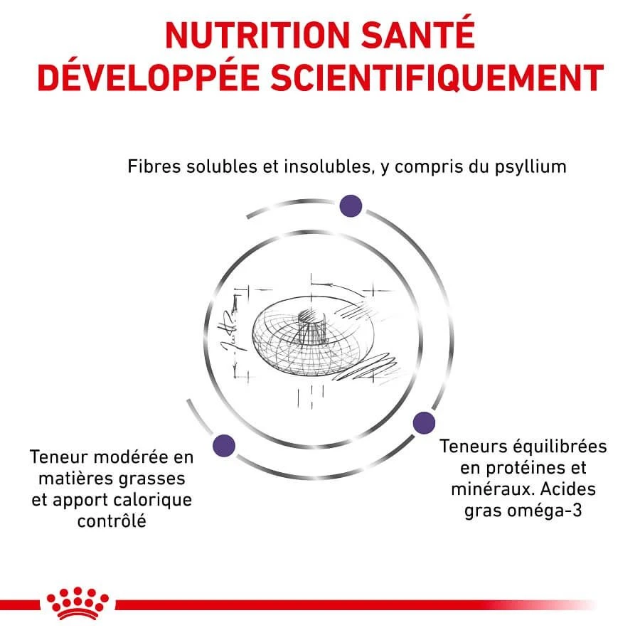 Royal Canin Veterinary Neutered Adult Large Dog 12 Kg 3 Royal Canin Veterinary Neutered Adult Large Dog 12 Kg – Image 3