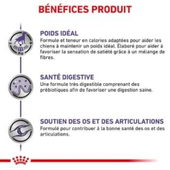 Royal Canin Veterinary Neutered Adult Large Dog 12 Kg 12 Royal Canin Veterinary Neutered Adult Large Dog 12 Kg -Animal Fournitures Boutique royal canin veterinary neutered adult large dog 12 kg 4