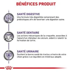 Royal Canin Veterinary Small Dog Adult 4 Kg -Animal Fournitures Boutique royal canin veterinary small dog adult 4 kg 4