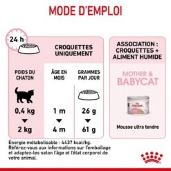 Royal Canin Féline Health Nutrition First Age Mother & Babycat 400 G -Animal Fournitures Boutique royal canin f line health nutrition first age mother babycat 2 2