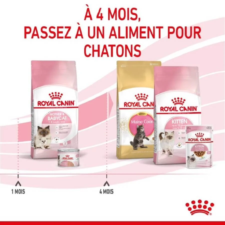 Royal Canin Féline Health Nutrition First Age Mother & Babycat 400 G – Image 6