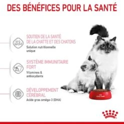Royal Canin Féline Health Nutrition First Age Mother & Babycat 400 G -Animal Fournitures Boutique royal canin f line health nutrition first age mother babycat 8 2