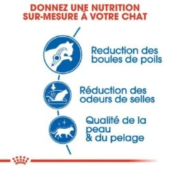 Royal Canin Féline Health Nutrition Indoor Long Hair 4 Kg -Animal Fournitures Boutique royal canin f line health nutrition indoor long hair 2