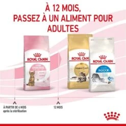 Royal Canin Feline Health Nutrition Kitten Sterilised 2 Kg -Animal Fournitures Boutique royal canin feline health nutrition kitten sterilised 5