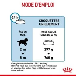 Royal Canin Giant Puppy 15 Kg -Animal Fournitures Boutique royal canin giant puppy 7