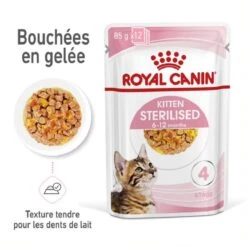 Royal Canin Kitten Sterilised Sachet En Gelée 12 X 85 G 15 Royal Canin Kitten Sterilised Sachet En Gelée 12 X 85 G -Animal Fournitures Boutique royal canin kitten sterilised sachet en gel e