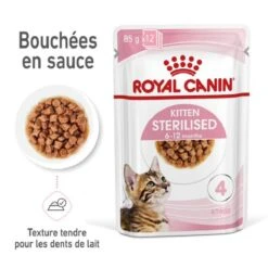 Royal Canin Kitten Sterilised Sachet 12 X 85 Grs -Animal Fournitures Boutique royal canin kitten sterilised sachet en gel e 12 x 85 g 2 1