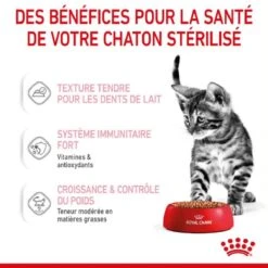 Royal Canin Kitten Sterilised Sachet 12 X 85 Grs -Animal Fournitures Boutique royal canin kitten sterilised sachet en gel e 12 x 85 g 9 1