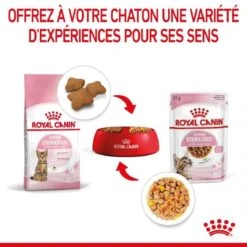 Royal Canin Kitten Sterilised Sachet En Gelée 12 X 85 G 18 Royal Canin Kitten Sterilised Sachet En Gelée 12 X 85 G -Animal Fournitures Boutique royal canin kitten sterilised sachet en gel e 2