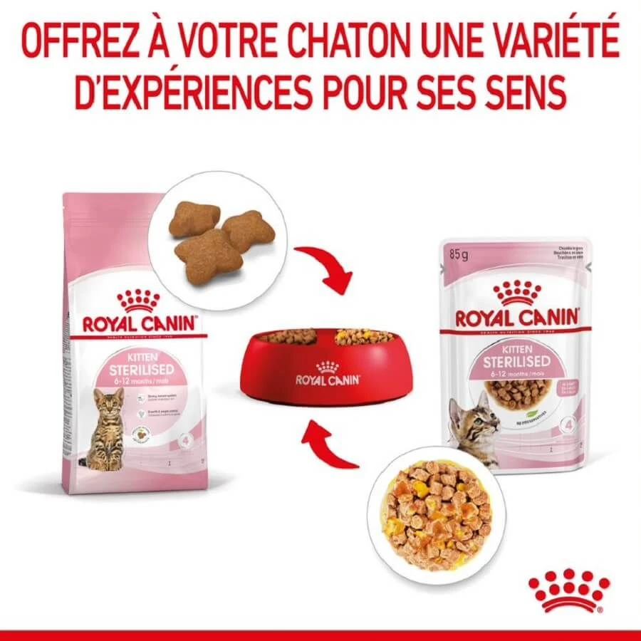 Royal Canin Kitten Sterilised Sachet En Gelée 12 X 85 G 7 Royal Canin Kitten Sterilised Sachet En Gelée 12 X 85 G – Image 7