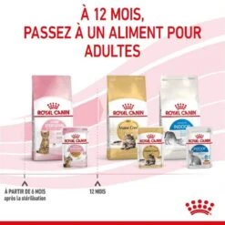 Royal Canin Kitten Sterilised Sachet En Gelée 12 X 85 G 19 Royal Canin Kitten Sterilised Sachet En Gelée 12 X 85 G -Animal Fournitures Boutique royal canin kitten sterilised sachet en gel e 5