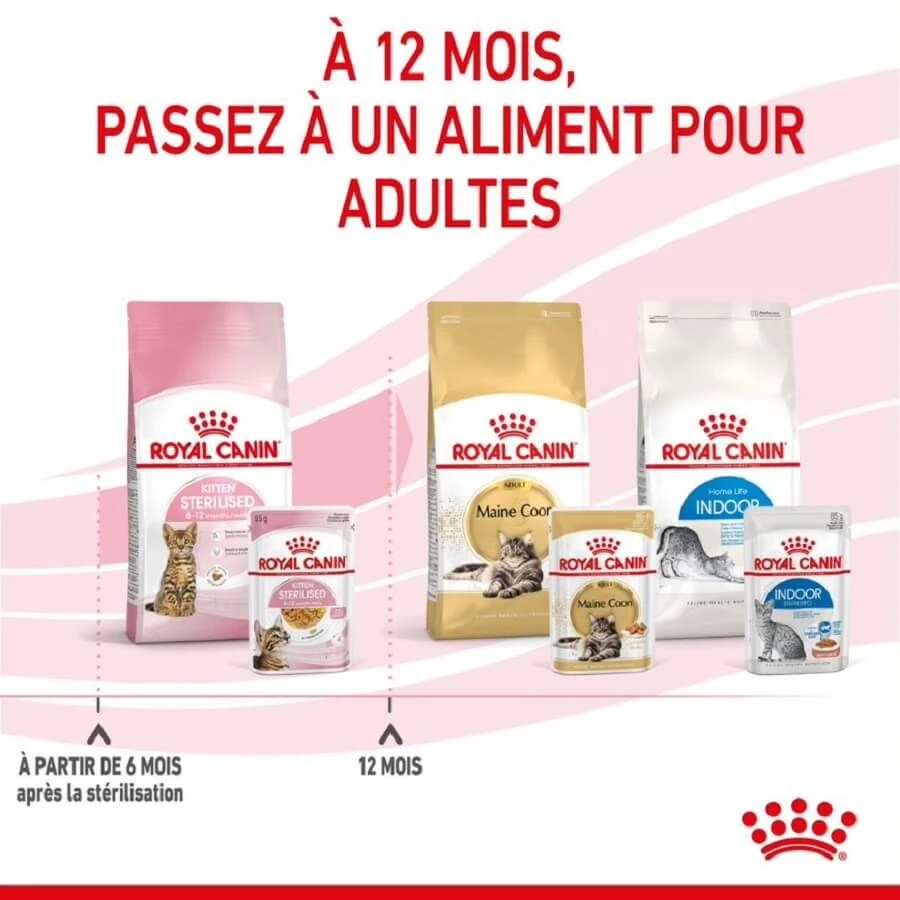 Royal Canin Kitten Sterilised Sachet En Gelée 12 X 85 G 8 Royal Canin Kitten Sterilised Sachet En Gelée 12 X 85 G – Image 8