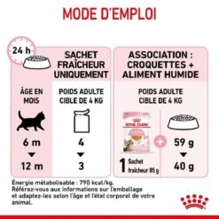 Royal Canin Kitten Sterilised Sachet En Gelée 12 X 85 G 21 Royal Canin Kitten Sterilised Sachet En Gelée 12 X 85 G -Animal Fournitures Boutique royal canin kitten sterilised sachet en gel e 9