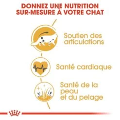 Royal Canin Maine Coon Adult 4 Kg -Animal Fournitures Boutique royal canin maine coon adult 5 1