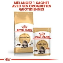Royal Canin Maine Coon Adult 4 Kg -Animal Fournitures Boutique royal canin maine coon adult 6 1