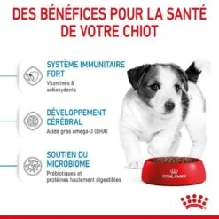 Royal Canin Vet Puppy Mini 4 Kg -Animal Fournitures Boutique royal canin puppy mini 3 1