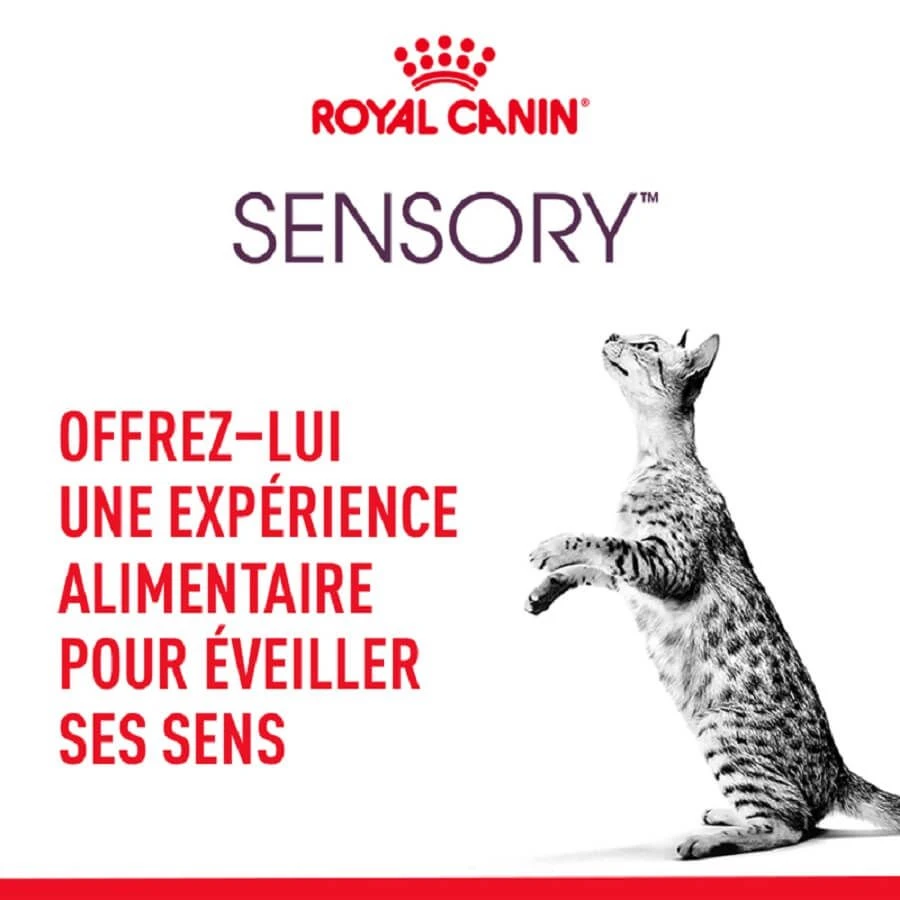Royal Canin Sensory Taste En Sauce Pour Chat 12 X 85 G – Image 4