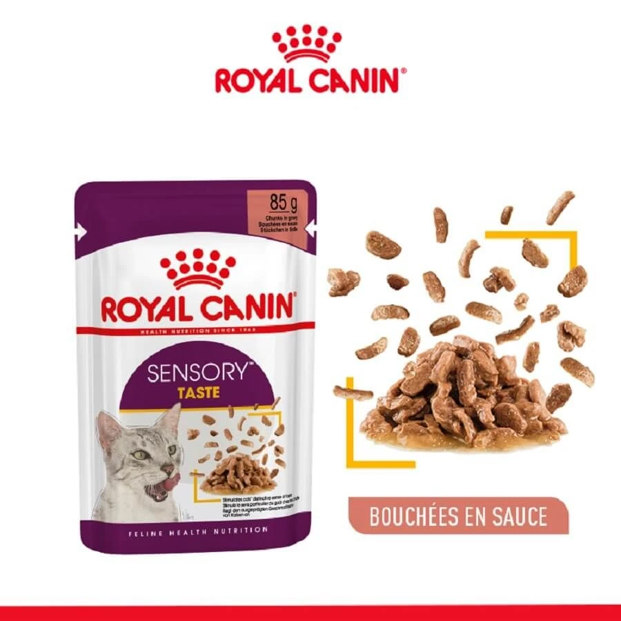 Royal Canin Sensory Taste En Sauce Pour Chat 12 X 85 G – Image 2
