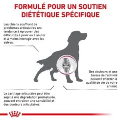 Royal Canin Vet Chien Mobility Support 12 Kg -Animal Fournitures Boutique royal canin veterinary dog mobility support2 1 1
