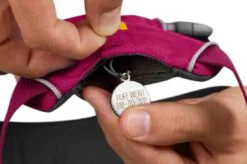 Ruffwear Harnais Front Range Rose Hibiscus M -Animal Fournitures Boutique ruffwear harnais front range rose hibiscus xxs4 3