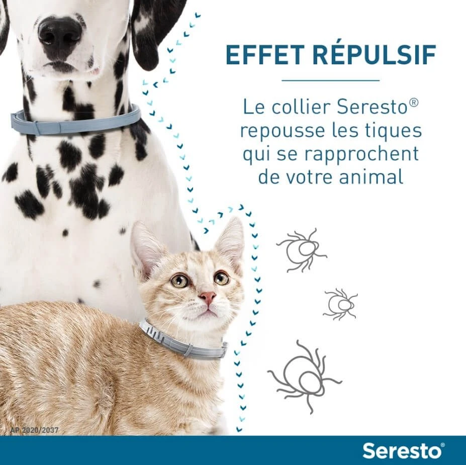 Seresto Collier Antiparasitaire Chat X2 3 Seresto Collier Antiparasitaire Chat X2 – Image 3