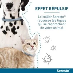 Seresto Collier Antiparasitaire Petit Chien X2 -Animal Fournitures Boutique serestochatchien 3