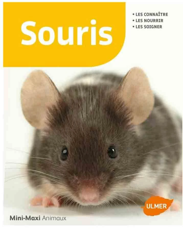 Livre - Souris 1 Livre - Souris