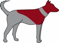 Trixie Carcan Gonflable Pour Chien XXS -Animal Fournitures Boutique trixie carcan gonflable pour chien xxs3