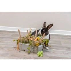 Trixie Mangeoire Pour Rongeurs 26 X 23 X 17 Cm -Animal Fournitures Boutique trixie mangeoire pour rongeurs 26 x 23 x 17 cm 5