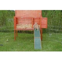 Trixie Rampe En Bois Pour Rongeurs 20 X 50 Cm -Animal Fournitures Boutique trixie rampe en bois pour rongeurs 20 x 50 cm