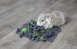 Trixie Tapis à Renifler Pour Lapin Et Cochon D'inde 27 × 20 Cm -Animal Fournitures Boutique trixie tapis a renifler pour lapin et cochon d inde4