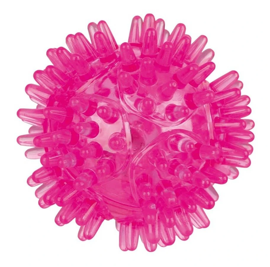 Trixie Balle Hérisson Lumineuse 1 Trixie Balle Hérisson Lumineuse