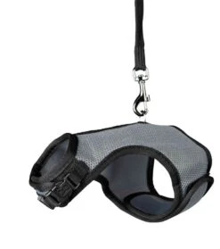 Trixie Harnais Soft Avec Laisse Pour Rongeur 14-19 Cm -Animal Fournitures Boutique trixie harnais soft avec laisse pour rongeur lapin nains