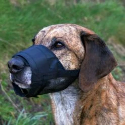 Trixie Muselière Avec Partie Maillée Noir L-XL -Animal Fournitures Boutique trixie muselie re avec partie maille e noir l xl2