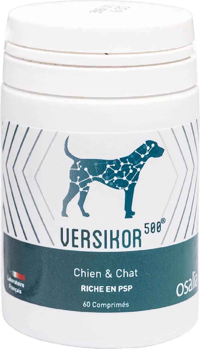 Versikor 500 Chien Et Chat 60 Cps 1 Versikor 500 Chien Et Chat 60 Cps