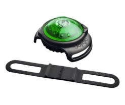 Orbiloc Collier Lumineux Vert Pour Chien