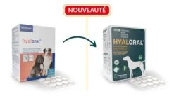 Virbac HYALORAL Chien Plus De 5 Kg 60 Cp -Animal Fournitures Boutique virbac hyaloral chien plus de 5 kg 60 cp