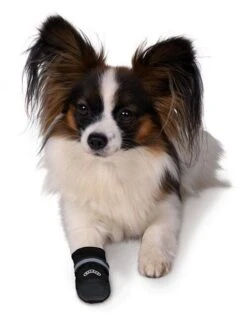 Trixie Bottes Protection Walker Care Confort L X 2 -Animal Fournitures Boutique walker care 1 1 1 1