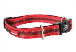 Zolux Collier Réglable MOOV Rouge 40 Mm